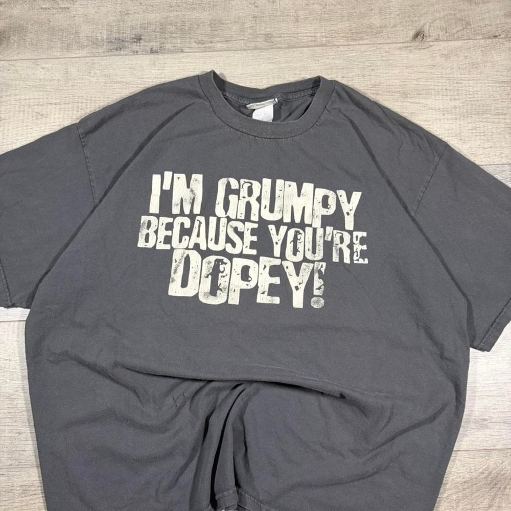 Disney Snow White and the so many dwarfs promo, funny humor, graphic T-shirt